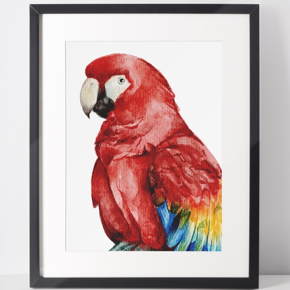 Red Macaw Parrot Bird Watercolor Wall Art Print Poster Unframed - Picture 2 of 8